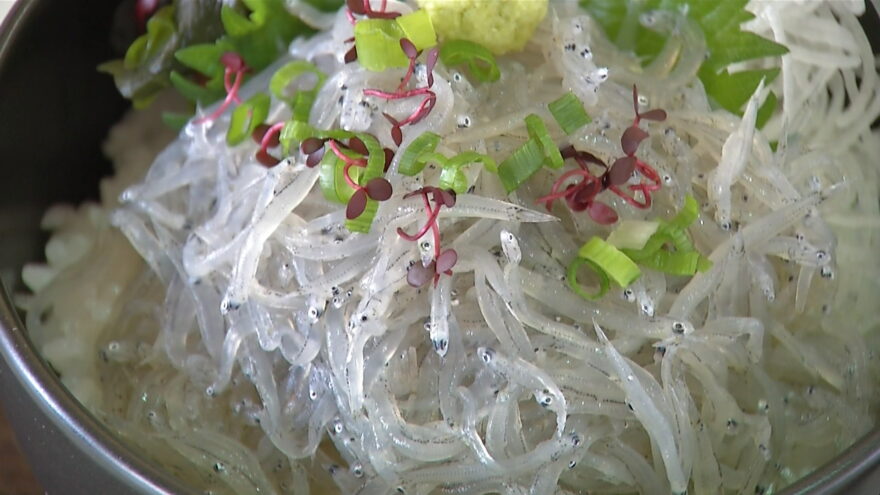 2017年4月12日(水)　「淡路島の生しらす」を味わって