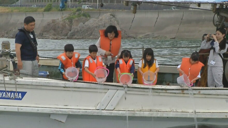 2017年5月9日(火)　淡路で児童がヒラメ放流