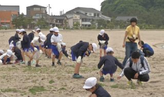 小学生が竹野浜の漂着物調査02