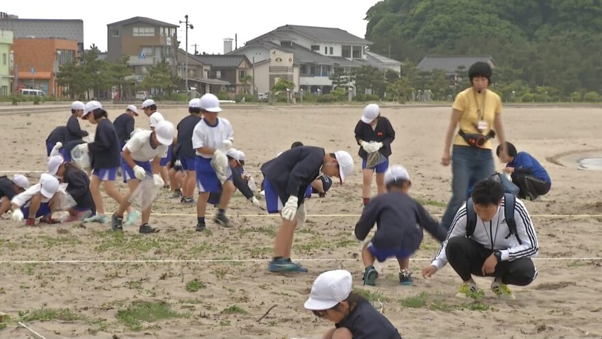 2017年5月26日(金)　小学生が竹野海岸の漂着物を調査