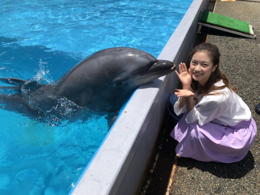 【ブログ】須磨海浜水族園へ行ってきました🐬💗