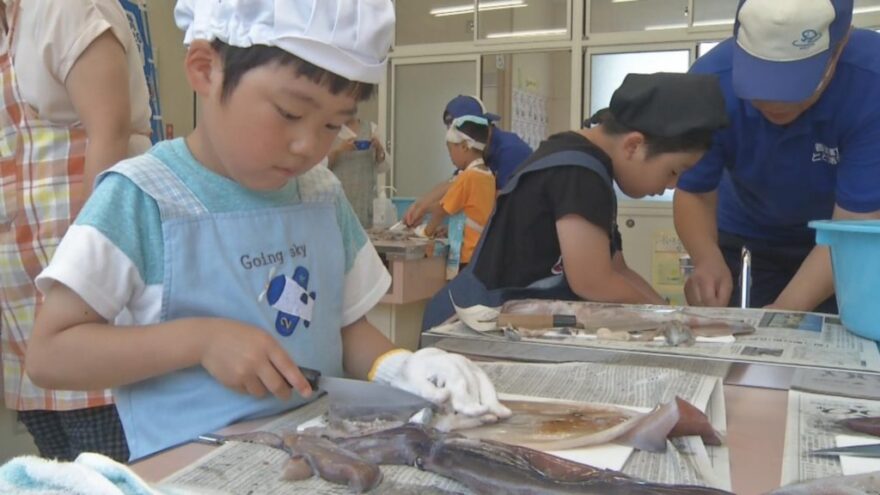 2018年7月10日　香美町で食育授業 小学生がスルメイカを調理