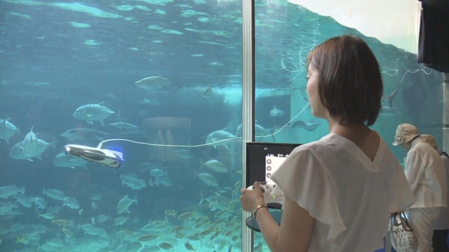 2018年7月31日  国内水族館初 水中ドローンで「魚の目線」