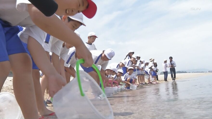 2018年７月11日 きれいな砂浜で大きくなあれ 児童がクルマエビの稚魚を放流