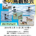 2019年 甲子園浜 冬の鳥観察会
