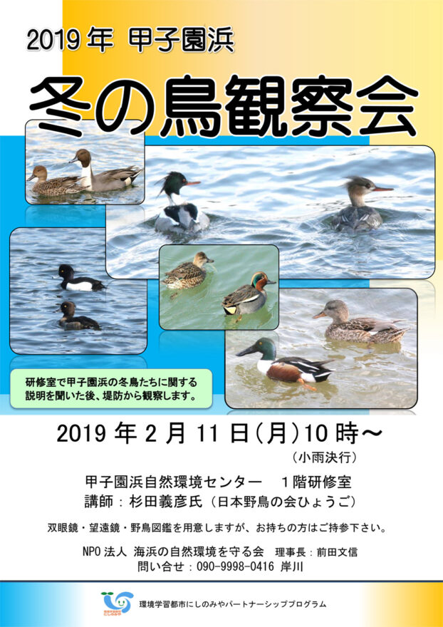 2019年 甲子園浜 冬の鳥観察会