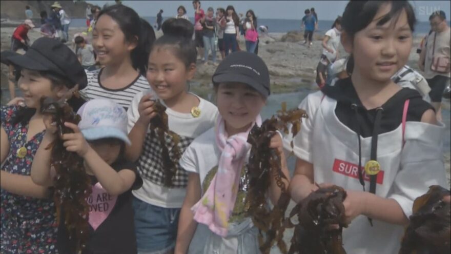 今子浦海岸でわかめまつり　山陰海岸ジオパーク