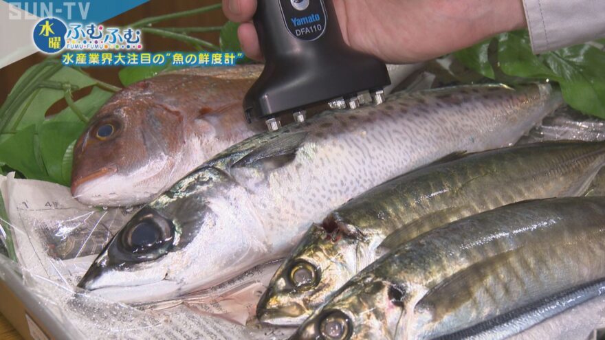 魚離れを防ぐ～ギョッ！と驚く新発明