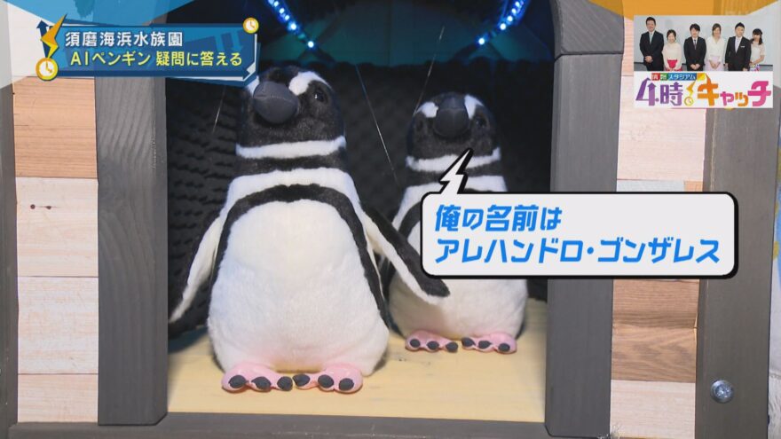 スマスイに人気のスター　しゃべるペンギン登場