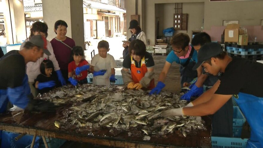 子どもたちが定置網漁を体験　但馬地域の漁業を知る