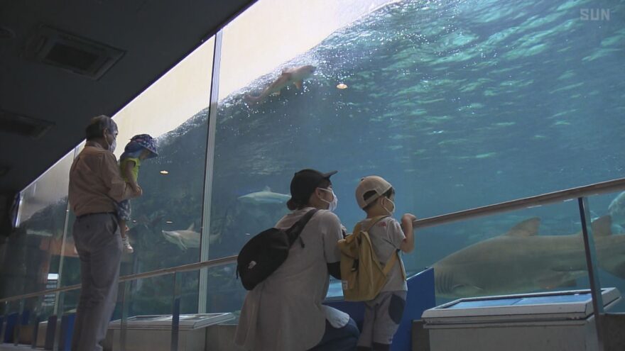 須磨海浜水族園が約3カ月ぶりに営業再開