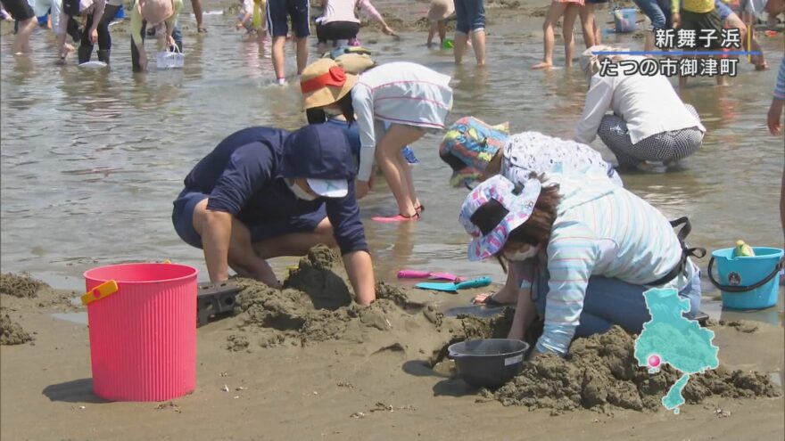 新舞子浜　潮干狩り場が１カ月半遅れで営業