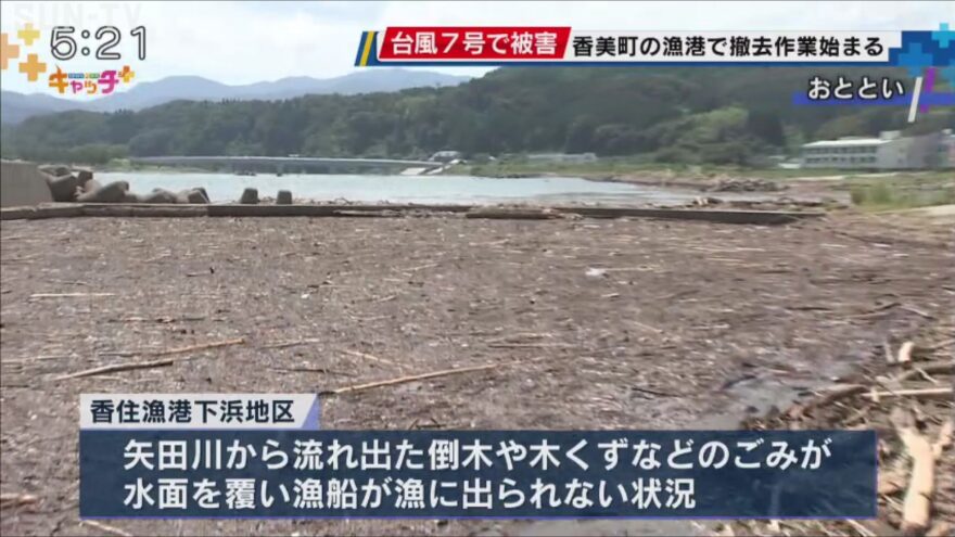 「一日も早く漁に出たい」　台風７号被害受けた香美町漁港で流木撤去作業始まる