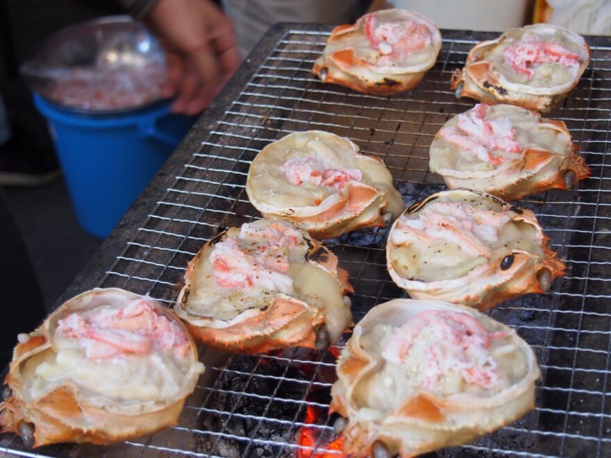 【イベント案内】第40回 香住松葉がにまつり　冬の味覚「松葉がに」がズラリ！