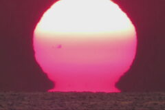 淡路島で「だるま朝日」確認　～蜃気楼の一種 まるでだるま～