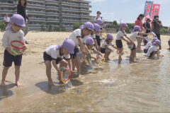 海の豊かさや大切さを感じて　明石市の海岸で園児たちがヒラメの稚魚放流