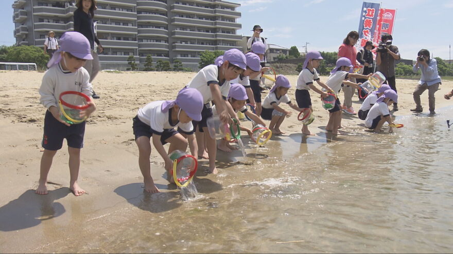 海の豊かさや大切さを感じて　明石市の海岸で園児たちがヒラメの稚魚放流