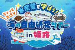 【参加者募集】「水産業を学ぼう！海の自由研究ツアーin姫路」を開催！