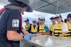 水産業を学ぼう！＼ちょっとスゴイ！／海の自由研究ツアーin姫路