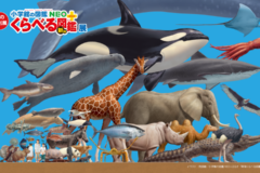 【イベント案内】夏の特別展「くらべる図鑑展」