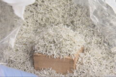 地元の魚の魅力をPR　垂水でフィッシュマーケット初開催