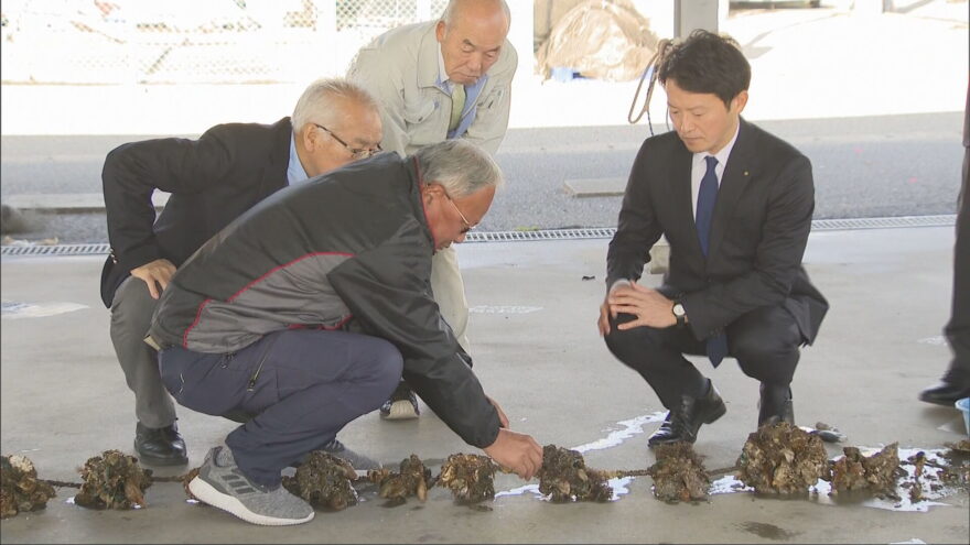 播磨灘のカキ大量死　兵庫県が業者支援に向け補正予算案提出へ